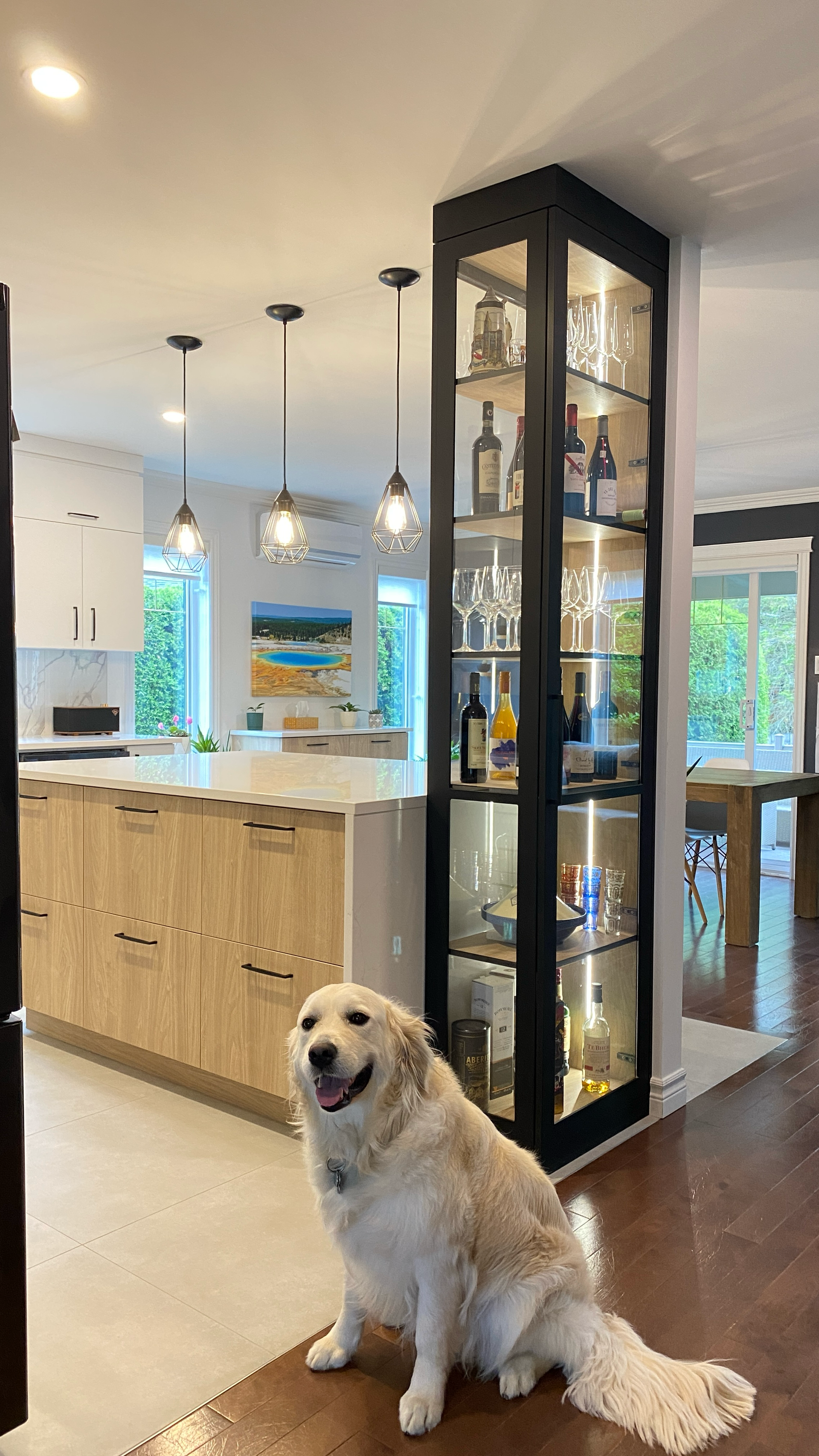 Un golden retriever est assis dans une cuisine moderne. Un meuble noir expose de la verrerie et des bouteilles d'alcool.