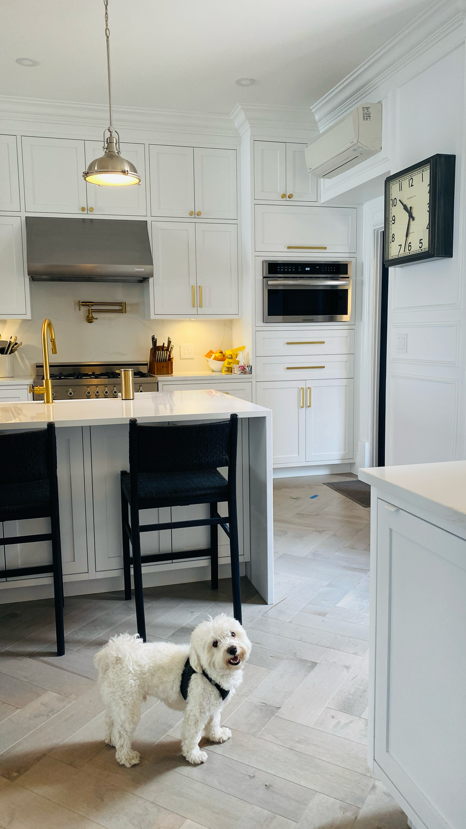 Un chien blanc se tient debout dans une cuisine blanche, moderne et lumineuse, avec des tabourets de bar noirs.