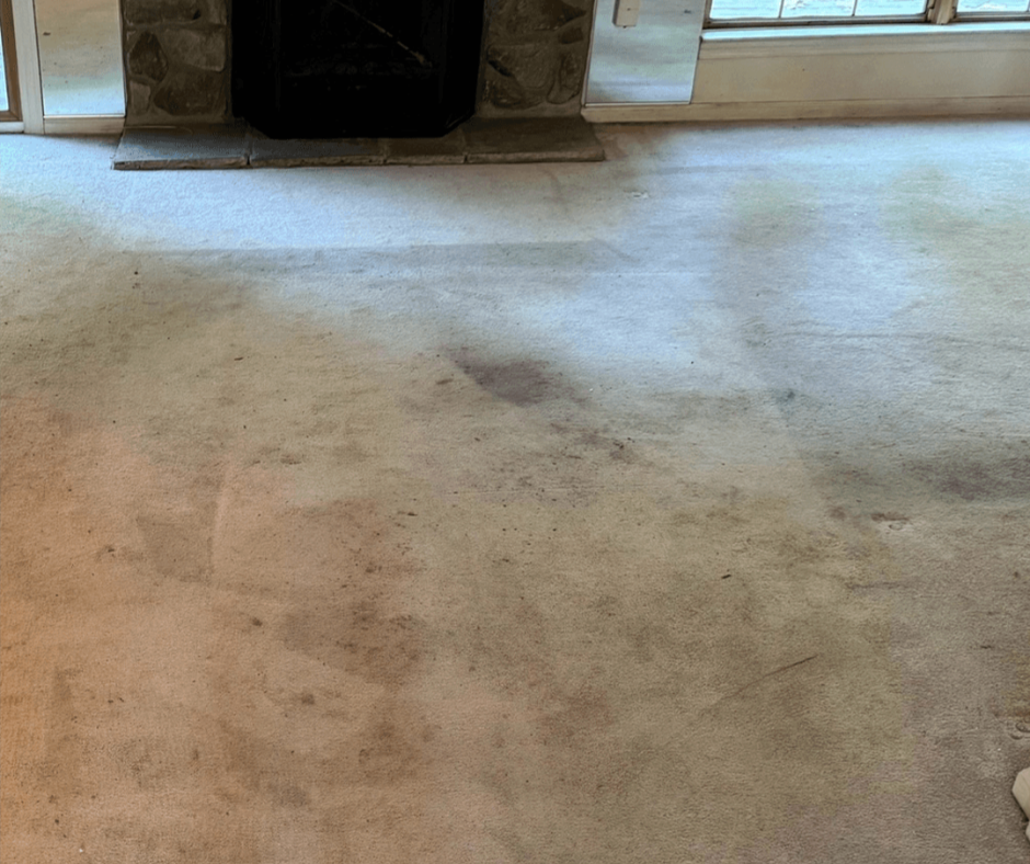 Dusty carpeted room with a fireplace and a bright window along the wall
