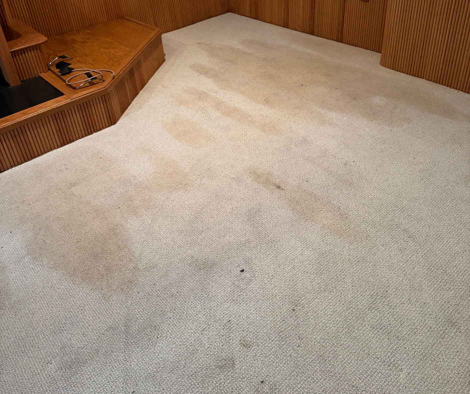 Carpeted room with wood-paneled walls and a built-in bench in the corner.