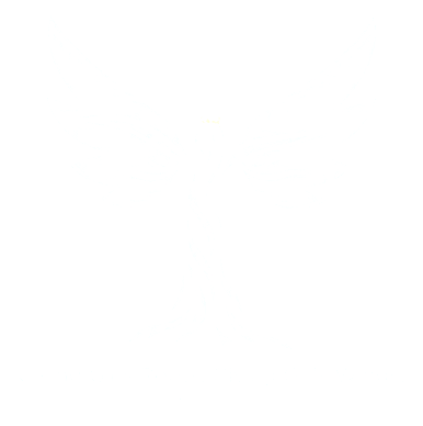 A white background with a few lines on it