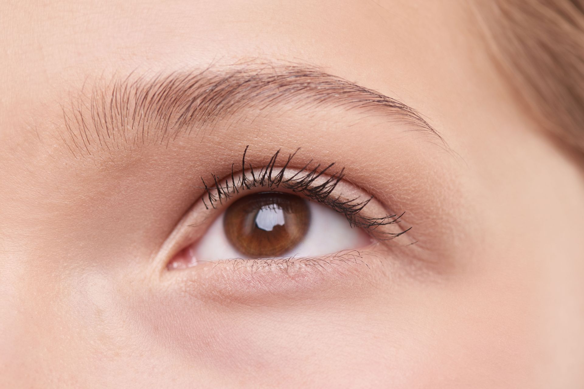 Close-up of a brown eye with long eyelashes and light makeup on fair skin