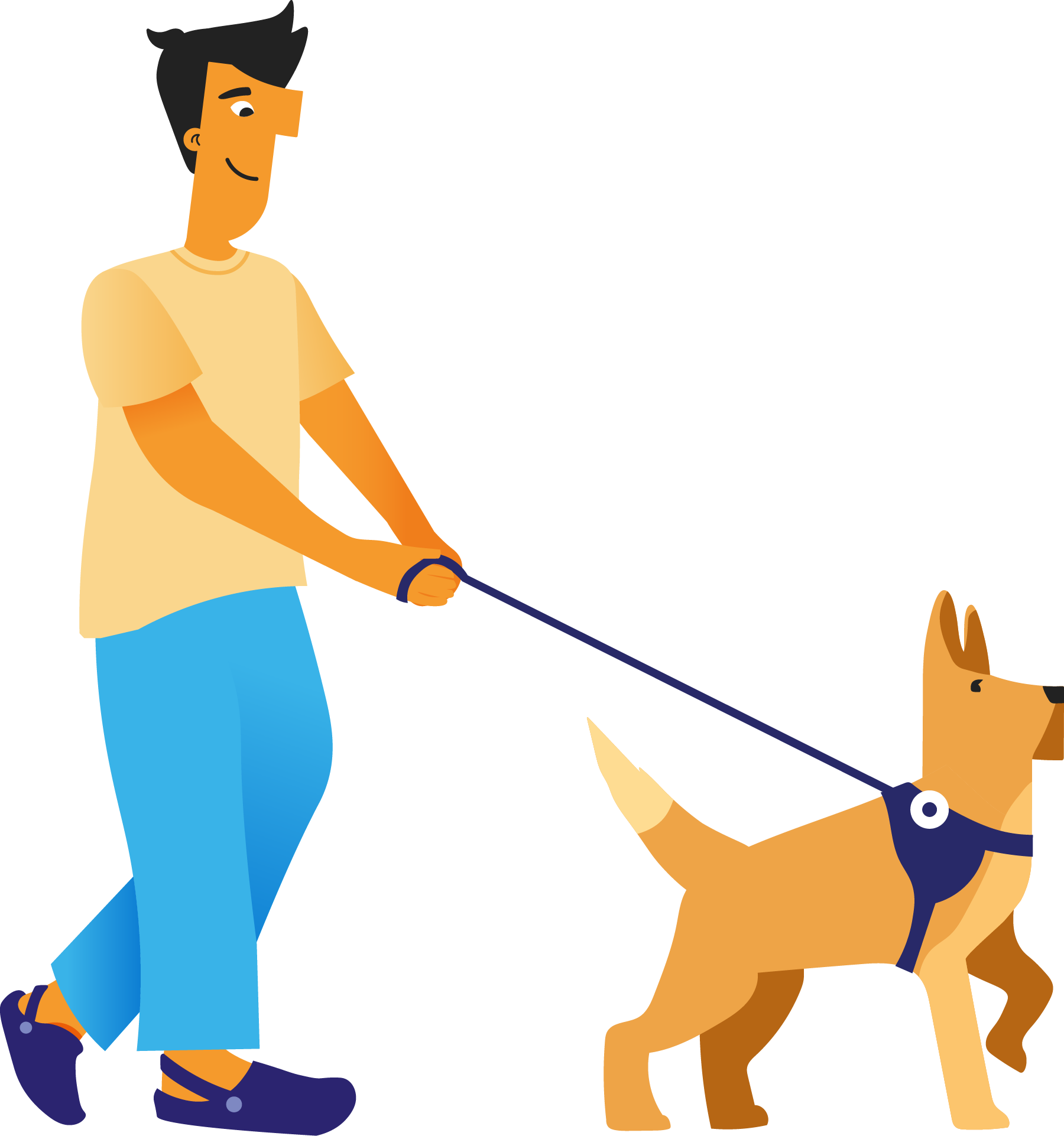 Ace walks Apollo