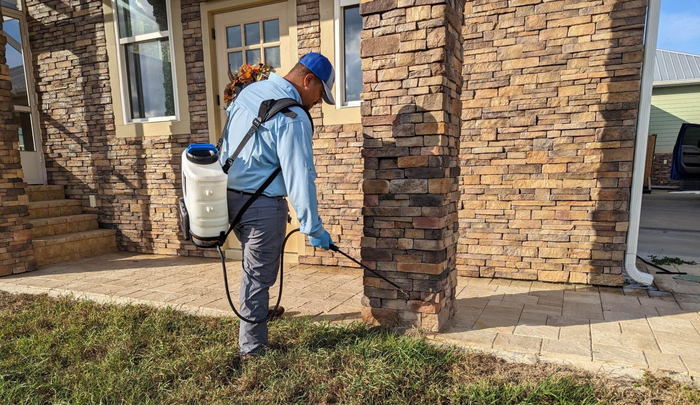 residential pest control