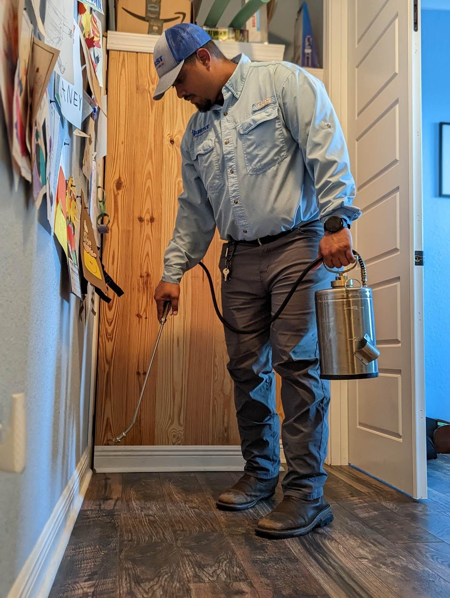 spraying for ants