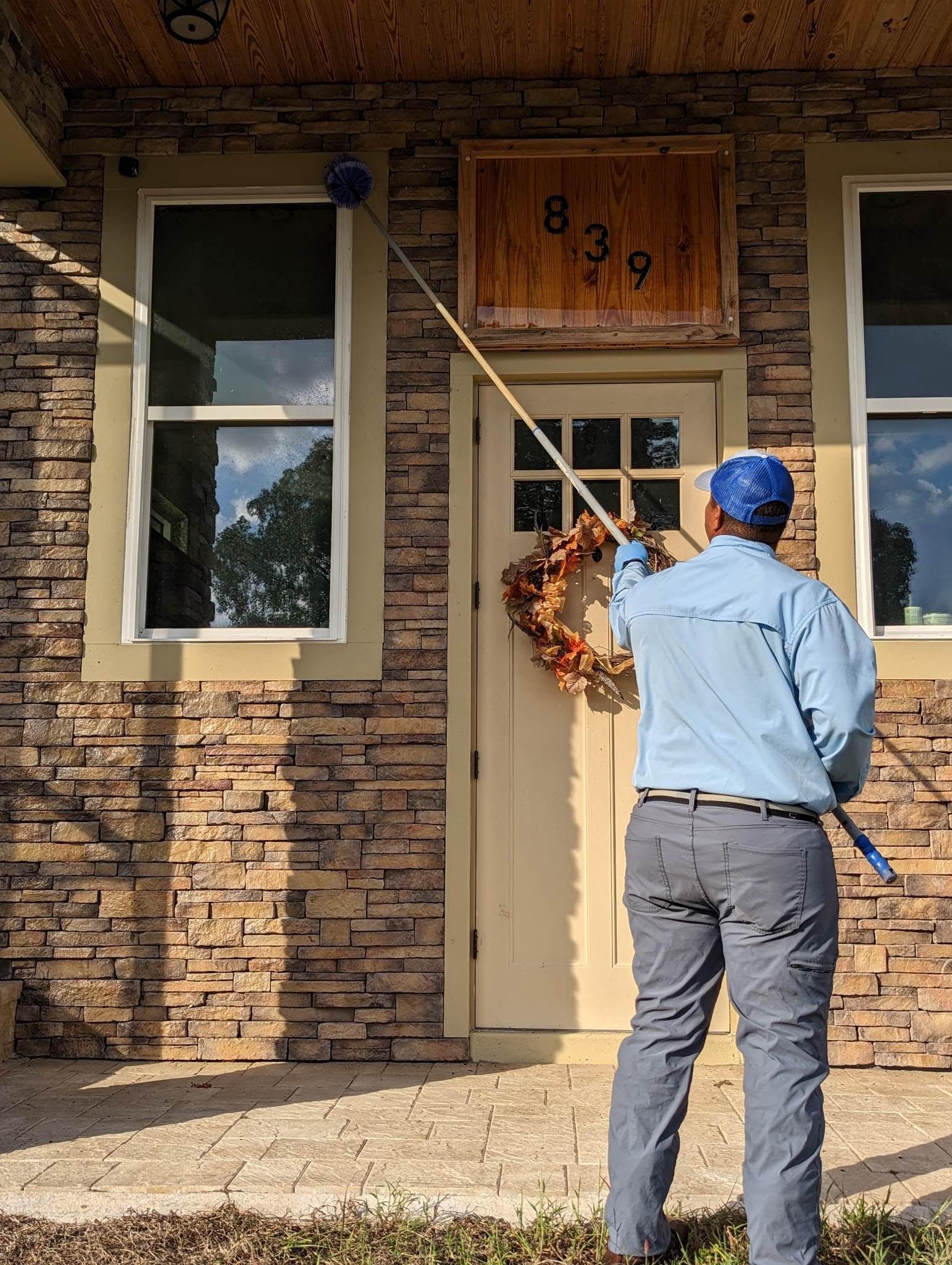 spider removal and prevention