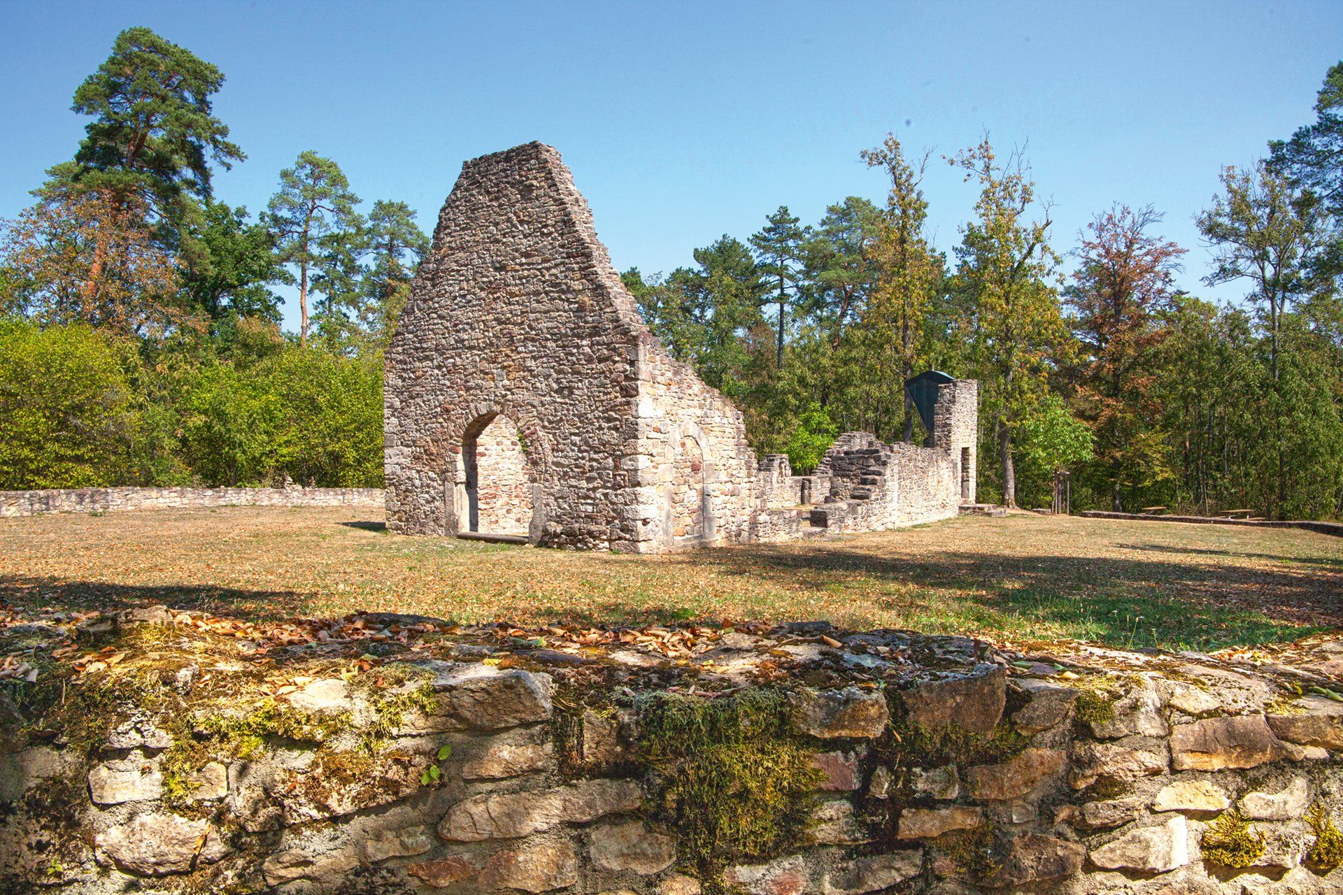 Ruine Michelsberg
