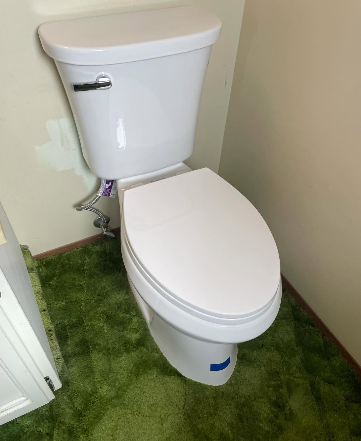 White toilet in a small bathroom with green carpet flooring