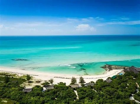 Turquoise ocean meets white sand beach, lush green trees, under a blue sky.