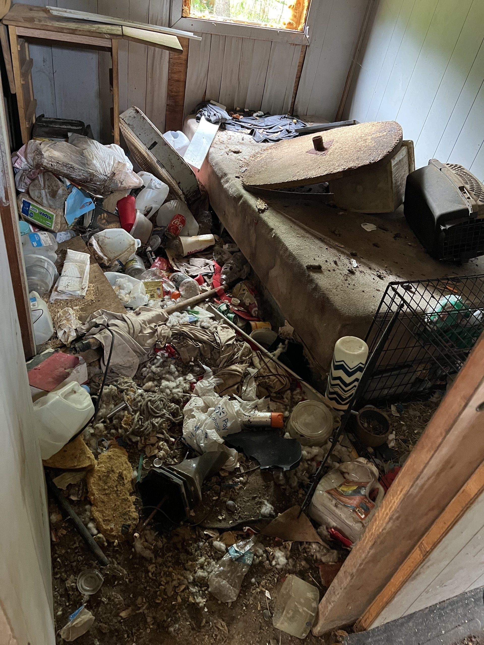 cleanout projects