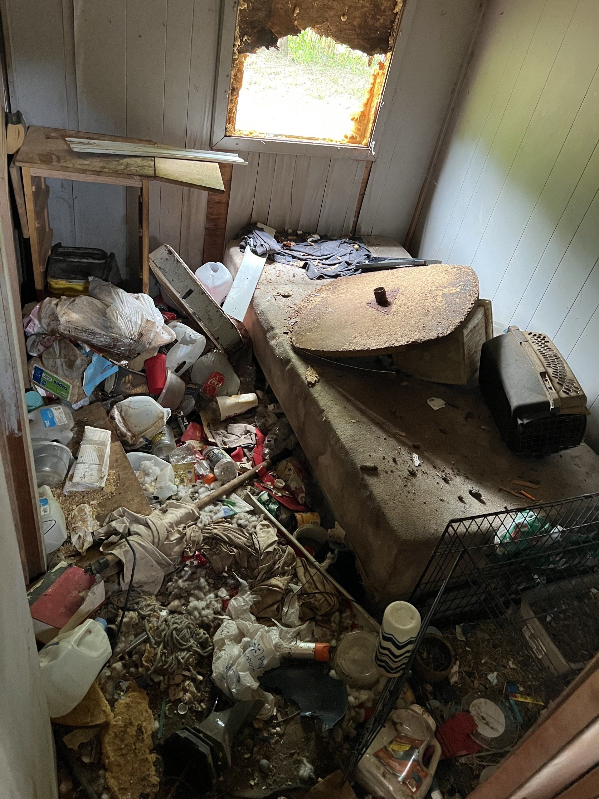cleanout projects