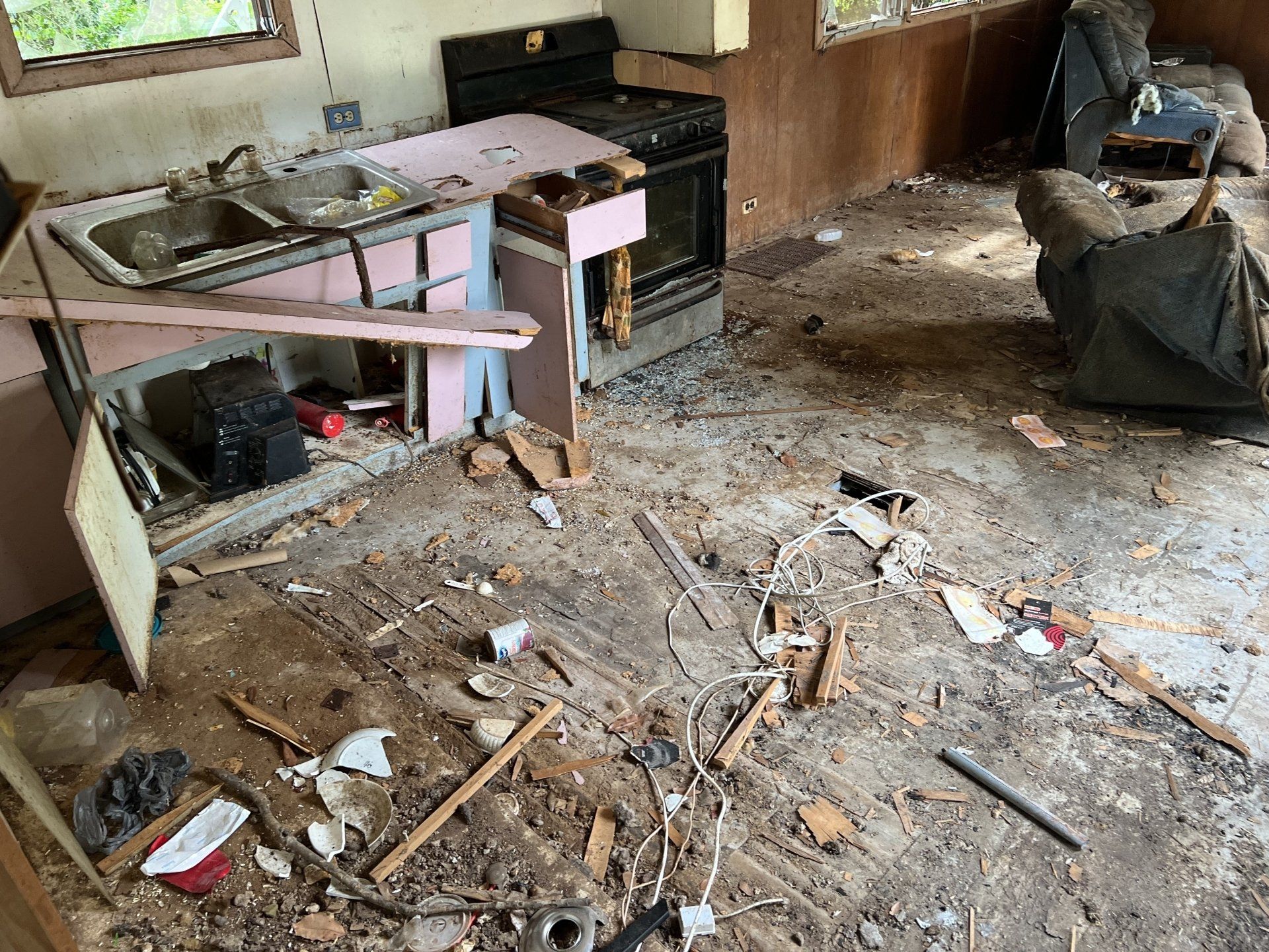 cleanout projects