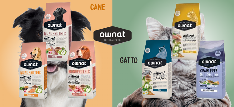 Sacchetti di cibo per gatti Ownait accanto a un gatto, in una composizione a schermo diviso con le etichette «cane» e «gato» e tonalità pastello calde