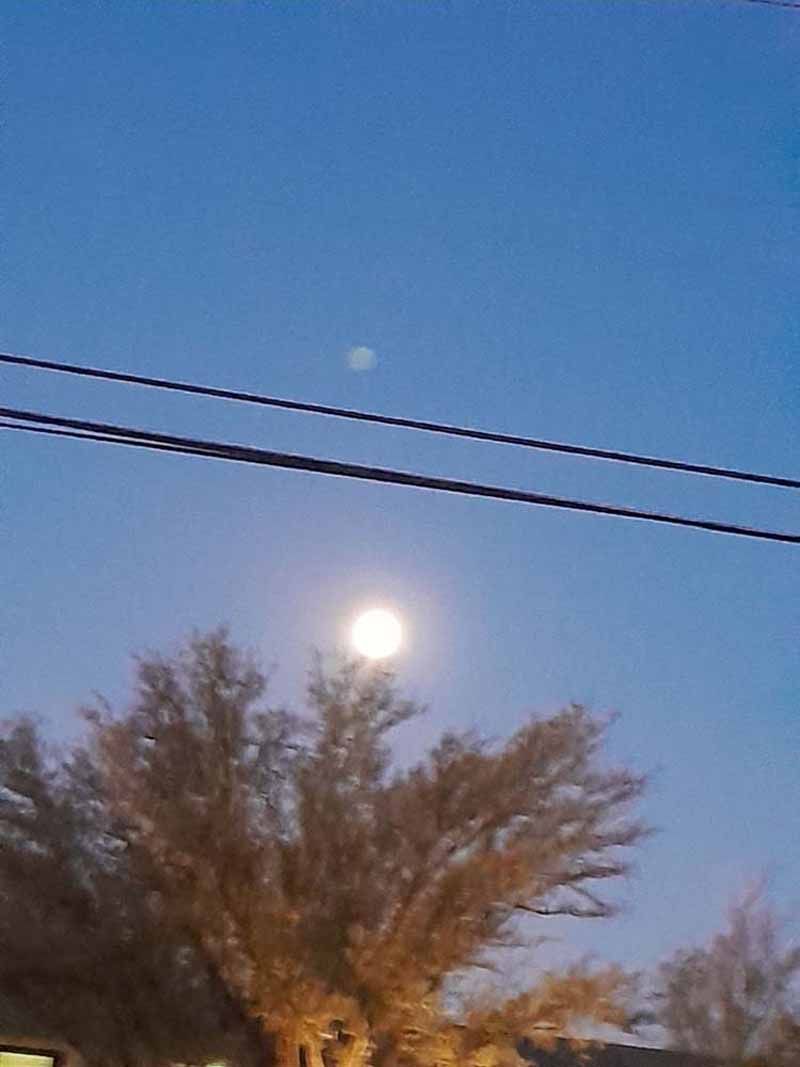 Full moon in a twilight sky, with a tree in the foreground and power lines crossing overhead.