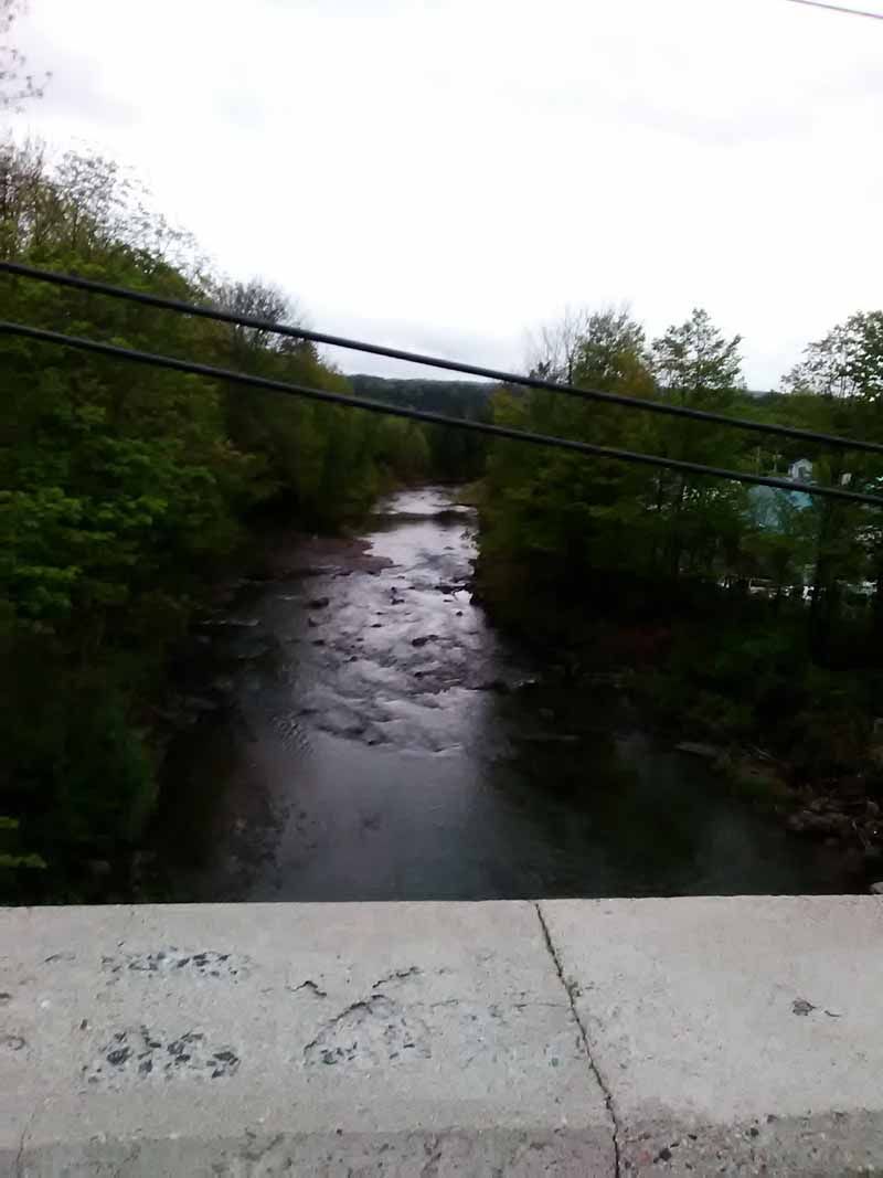River flowing under overcast sky, flanked by trees on a bridge.