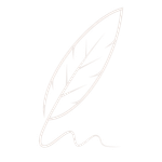 Avv. Barbara Schiavo Avv. Barbara Schiavo - logo