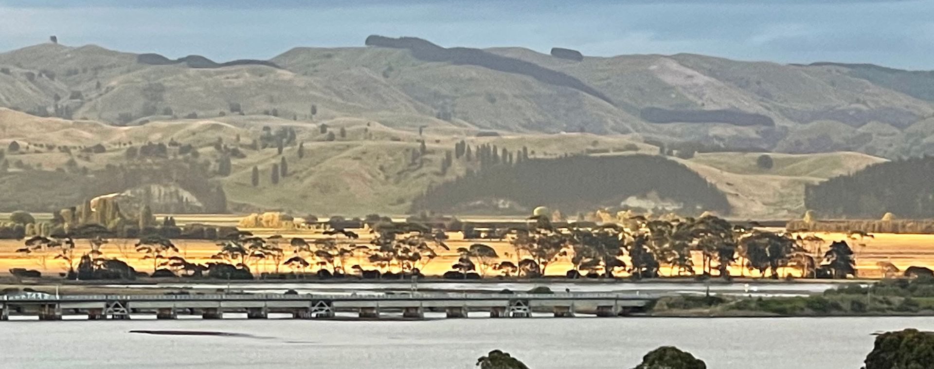 The Estuary Napier