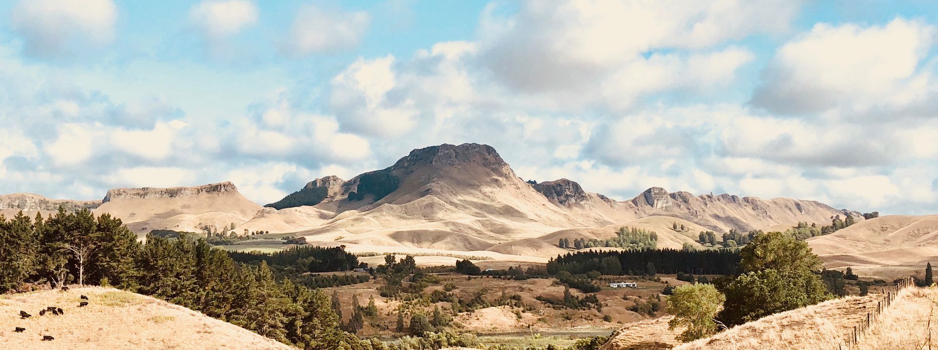 Te Mata Peak above Hawke’s Bay