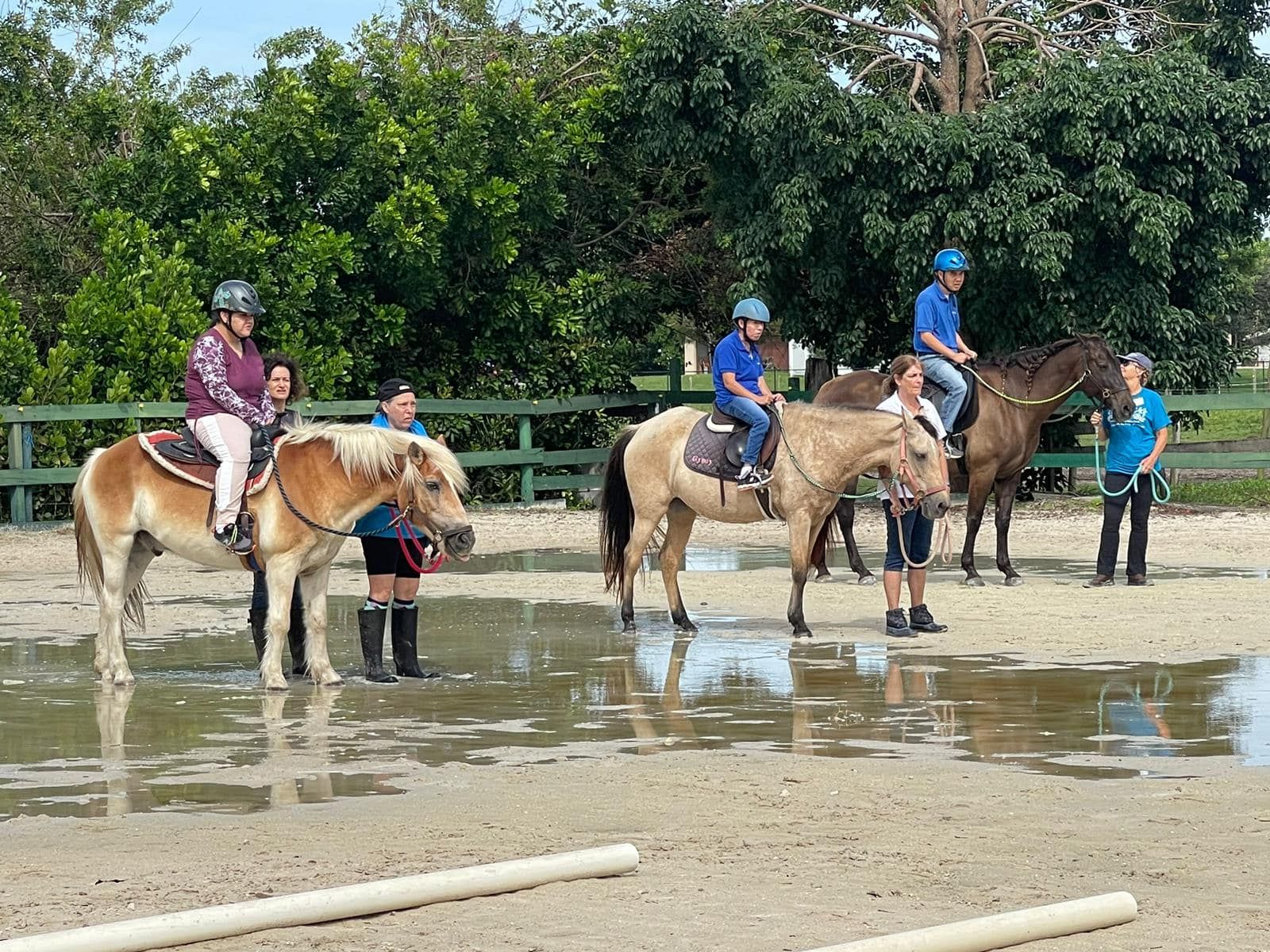 Horse Therapy