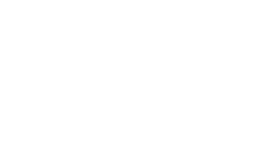 Full Bleed Logo