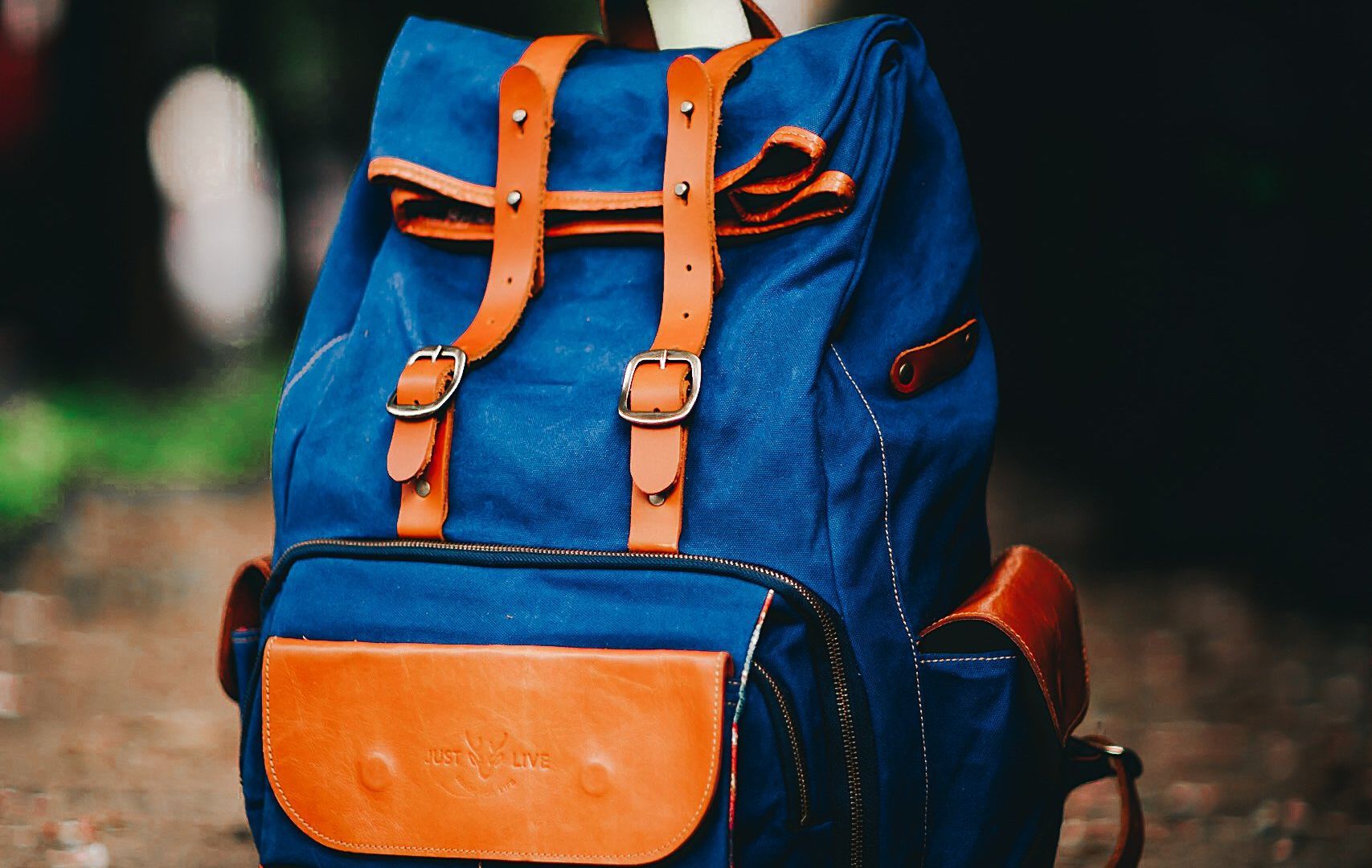 Travel backpack