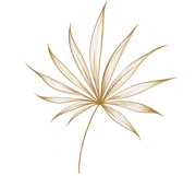 Delicate gold feather-like leaf on a white background
