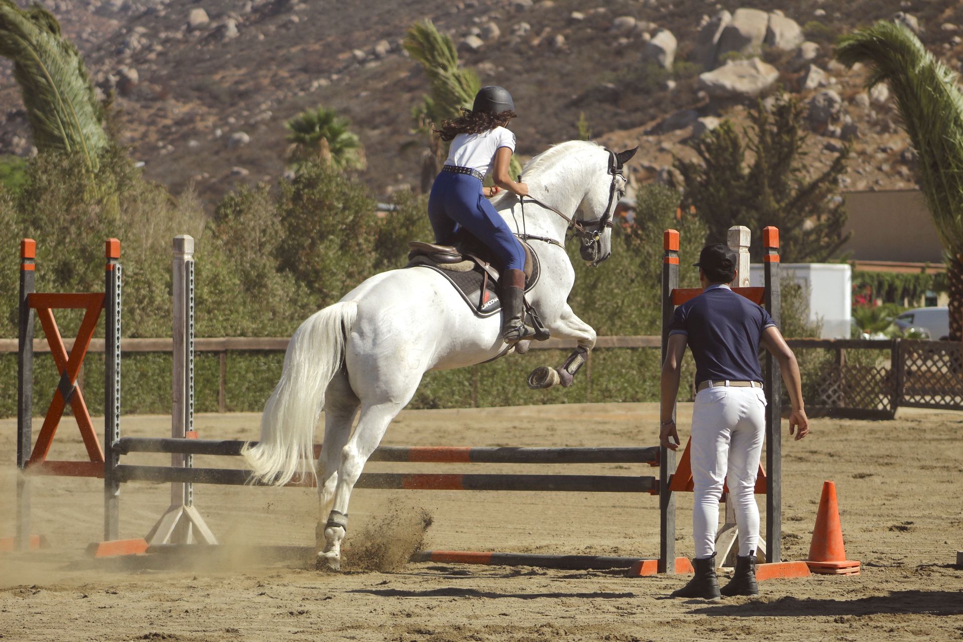 Equitarius Club Ecuestre | Hotel Boutique Valle de Guadalupe