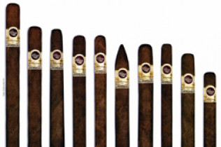 Row of upright wooden broom handles with rounded ends against a white background