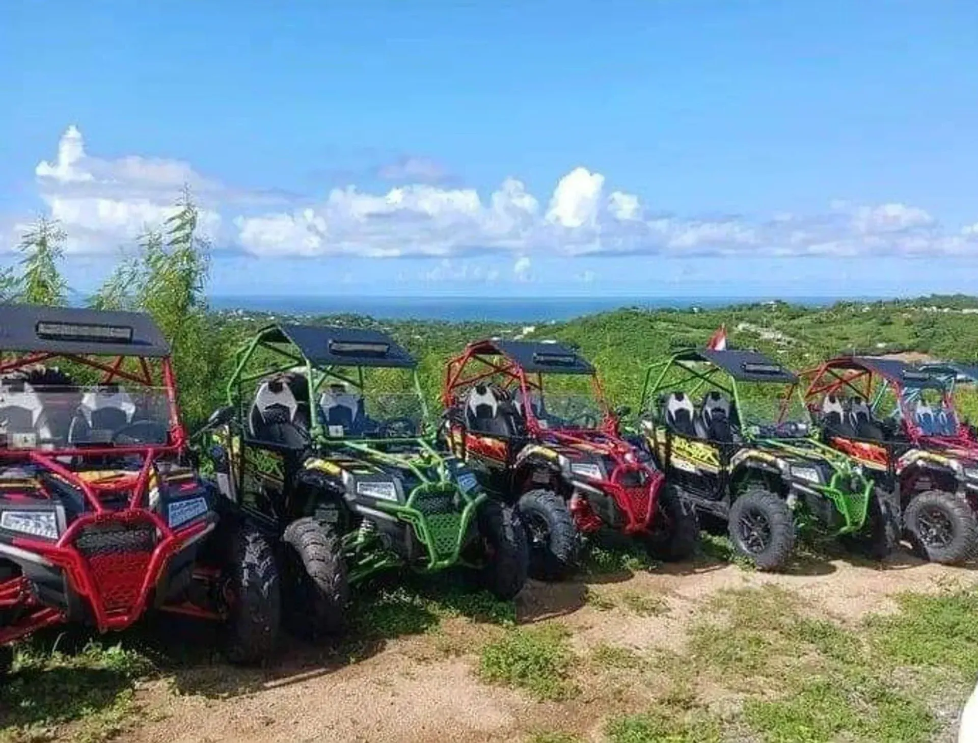 Row of colorful off-road buggies parked on a grassy hill overlooking the ocean under a blue sky