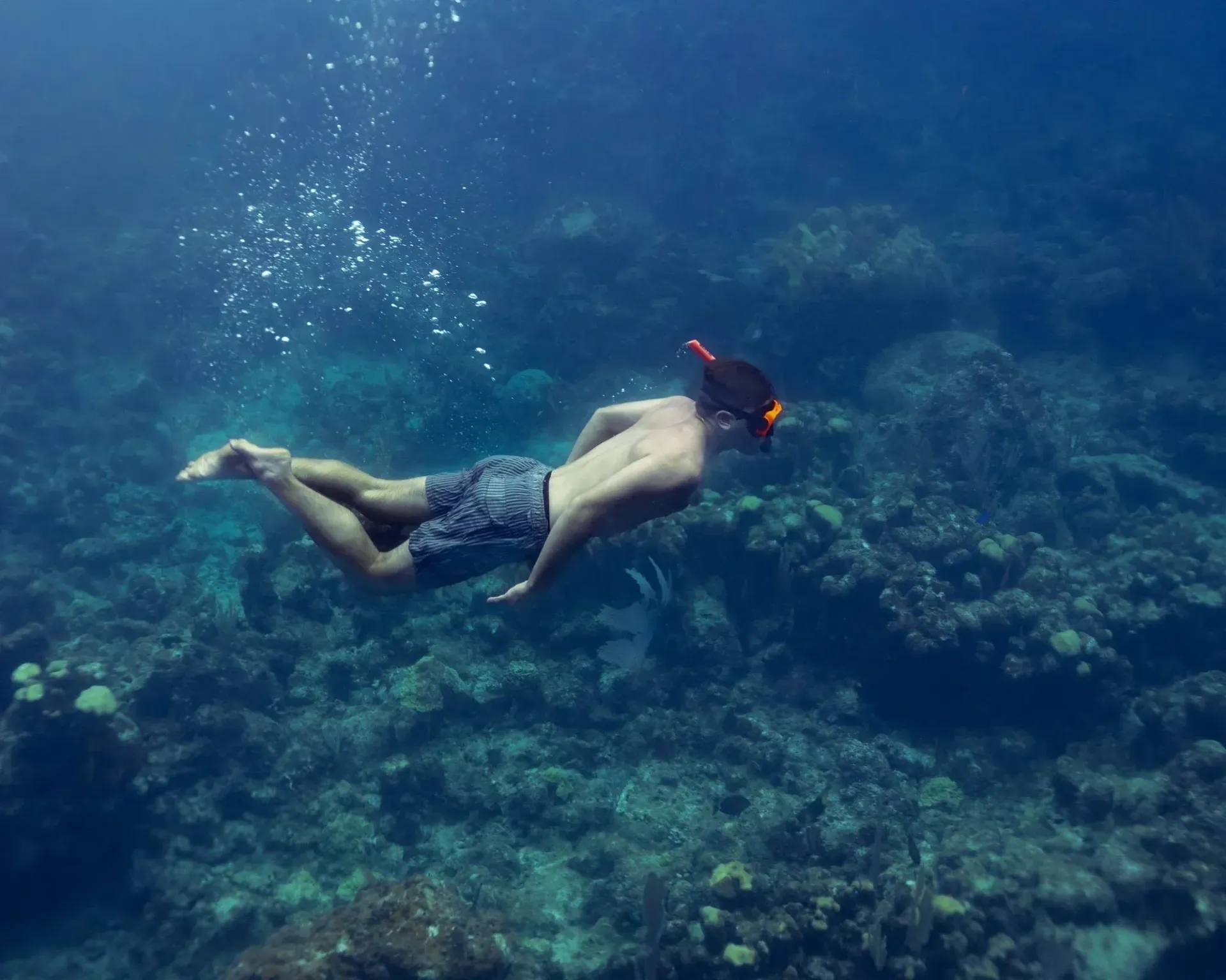 Snorkeler swimming above a coral reef near Icacos Island, Fajardo