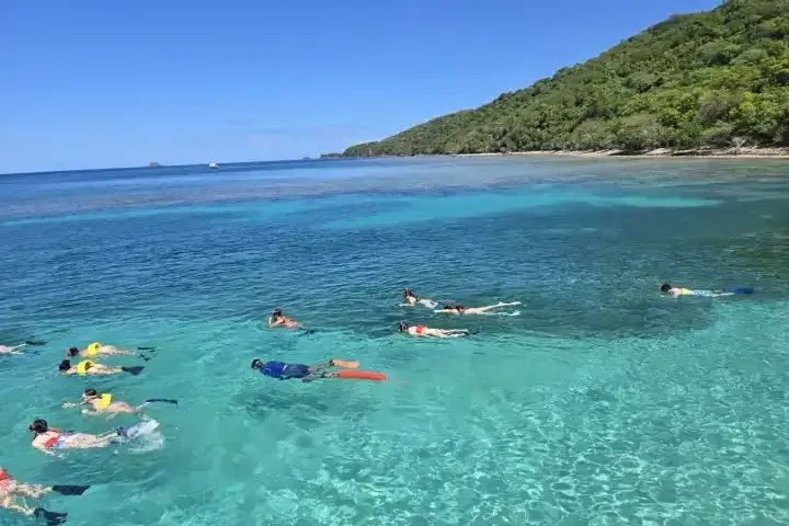 Snorkelers swimming in clear turquoise water near a green tropical shoreline