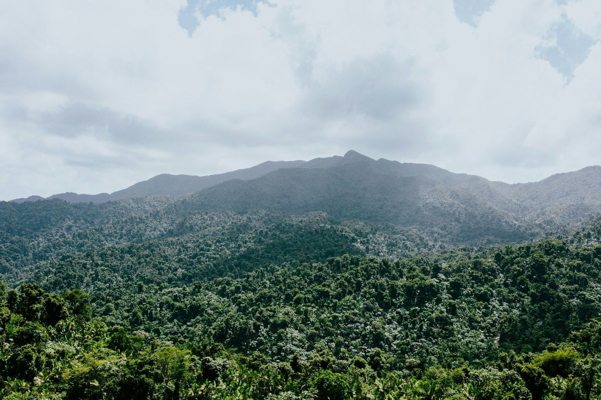 Mist-covered forested mountain under a cloudy sky