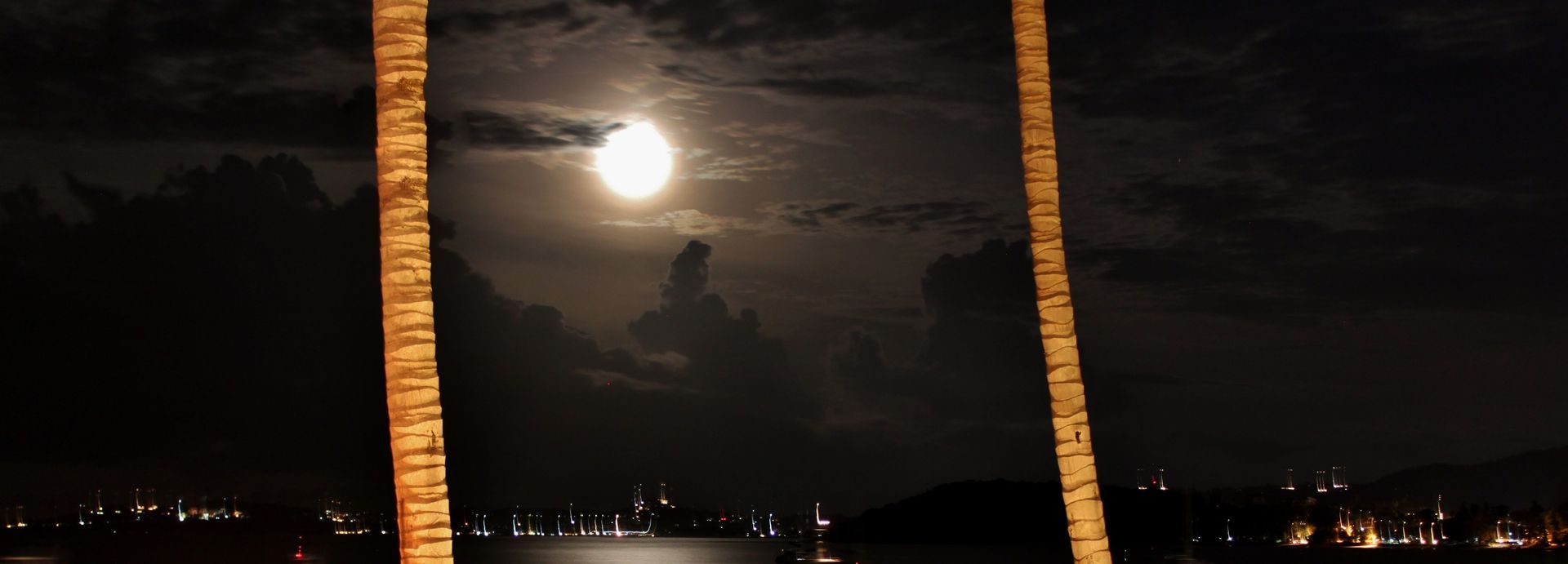 Moonlit night sky over water with two palm trunks framing a bright full moon and city lights on the horizon