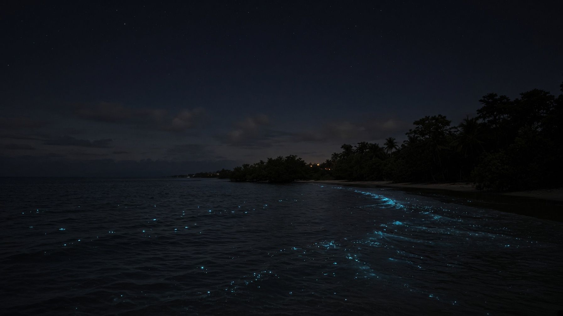 Blue bioluminescent waves glowing along a dark beach at night