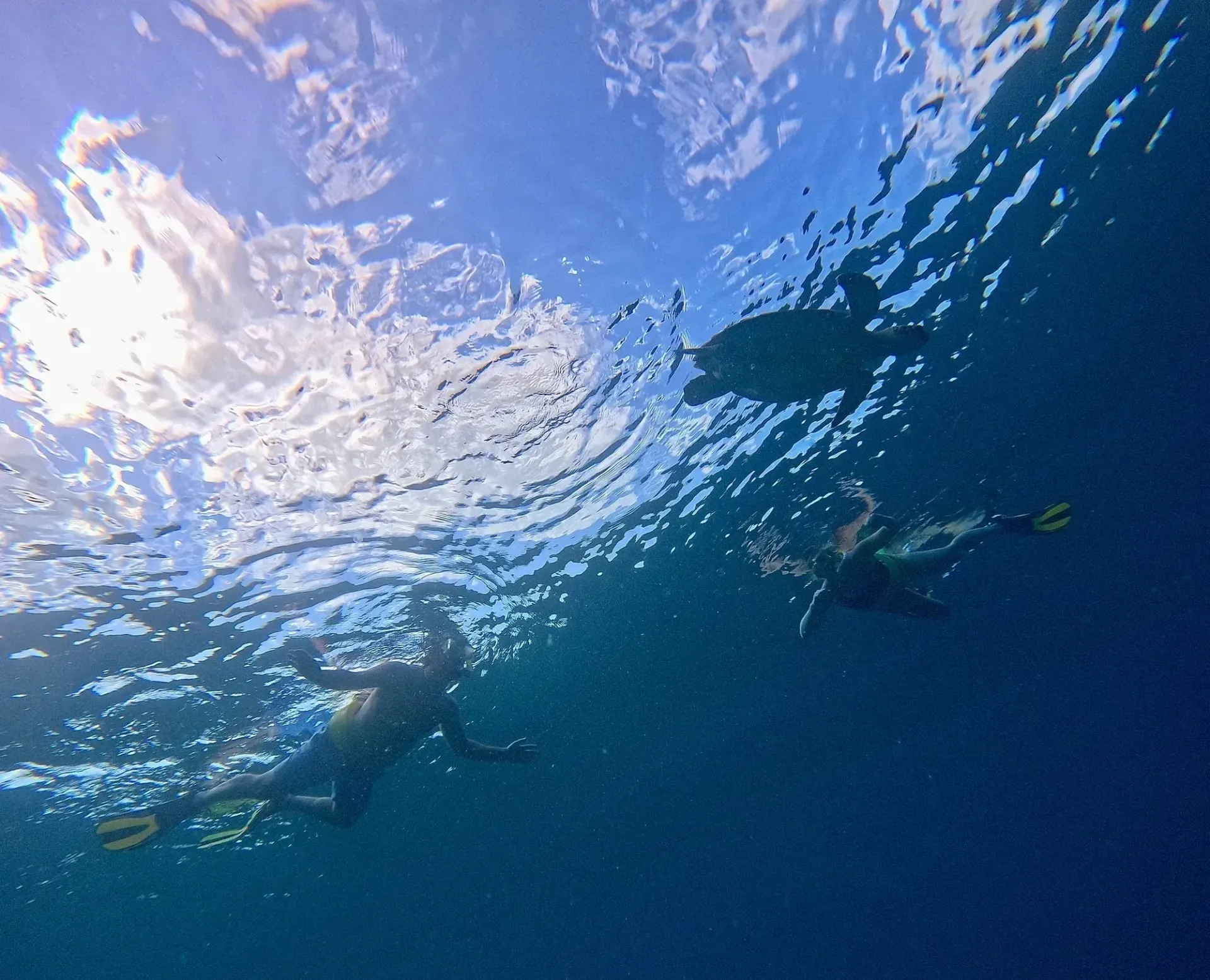 Swimmers beneath the sunlit ocean surface, seen from underwater with blue water and rippling light