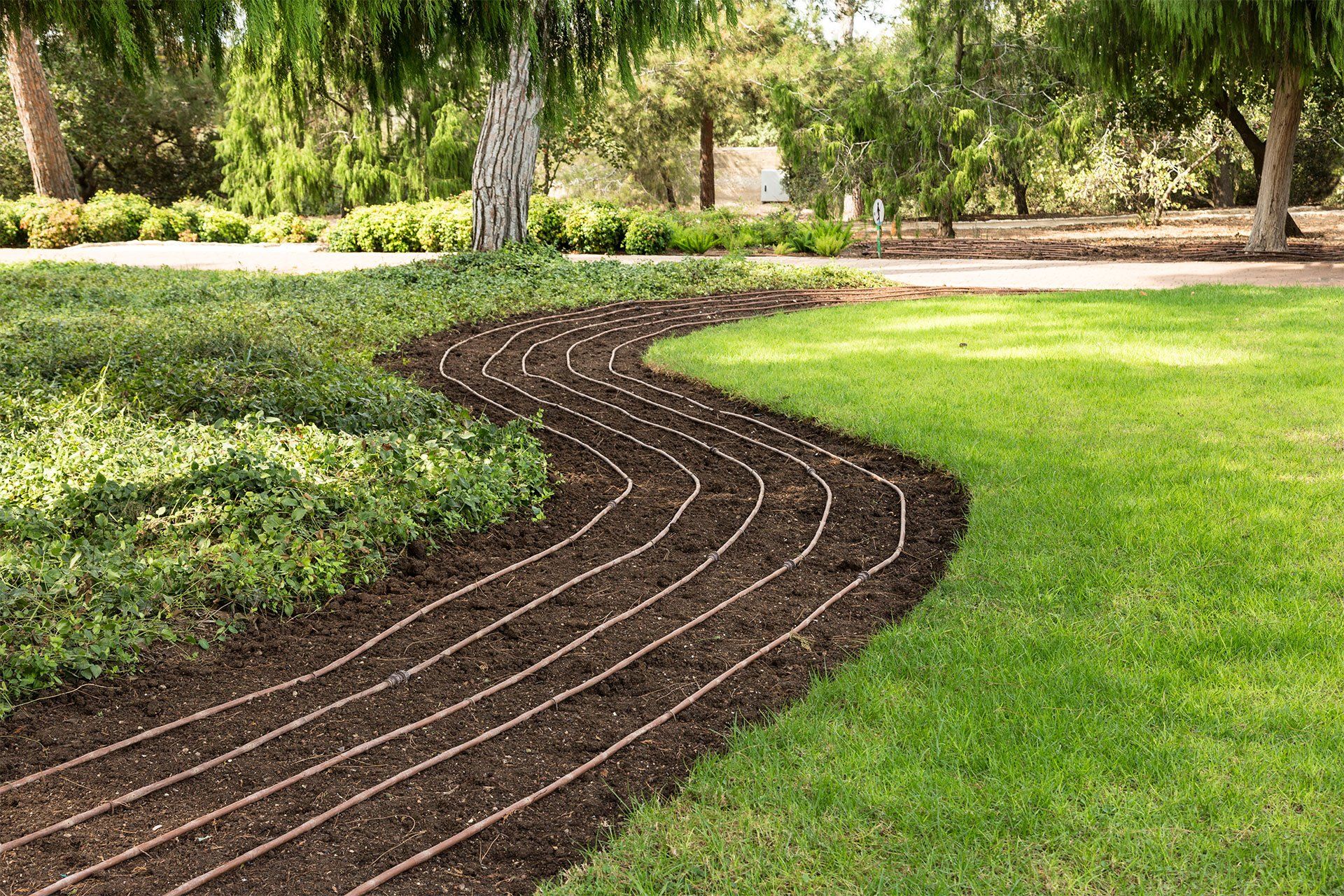 Drip Irrigation