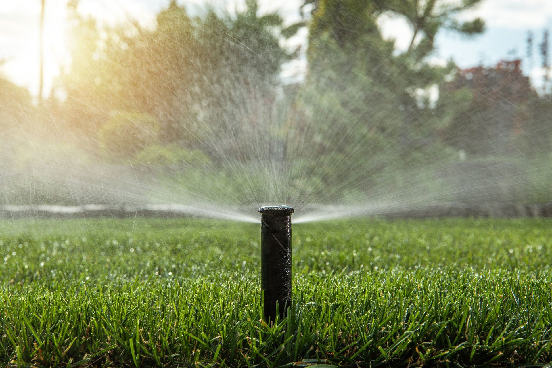 Lawn Sprinkler