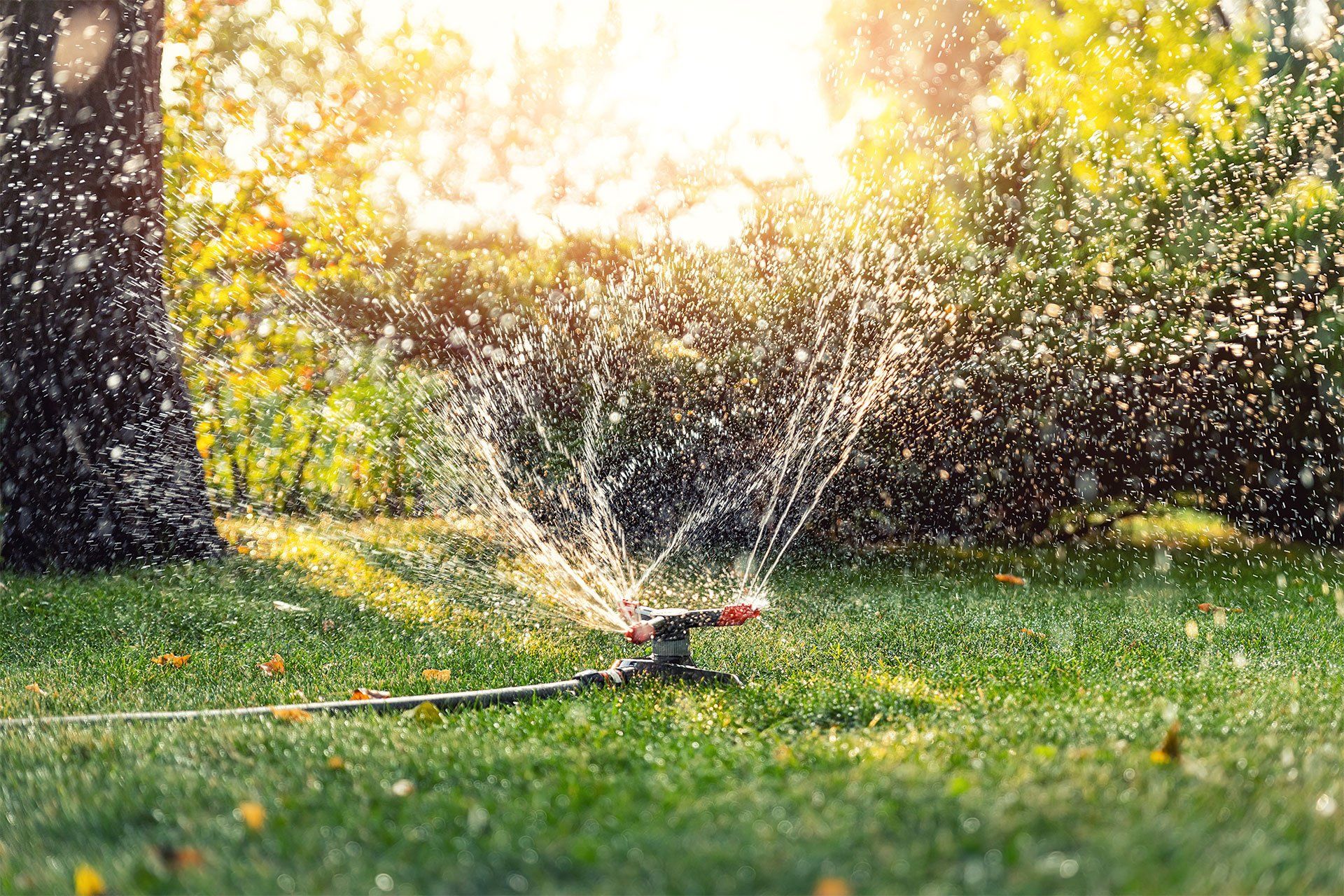 Rotating Sprinkler
