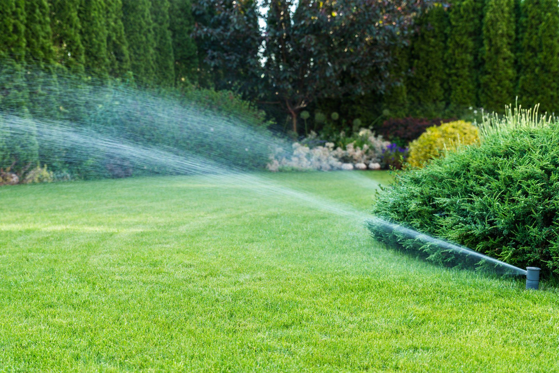Garden Sprinkler