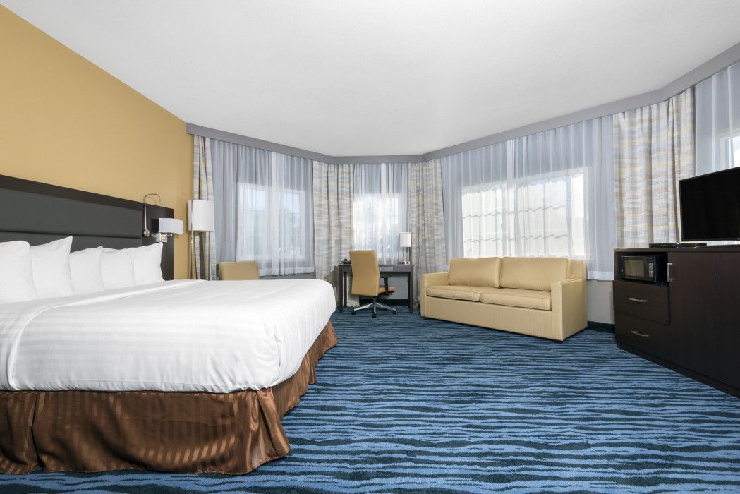 A hotel room with a large bed, a sofa, a desk, a television, and floor-to-ceiling windows with blue patterned carpeting.