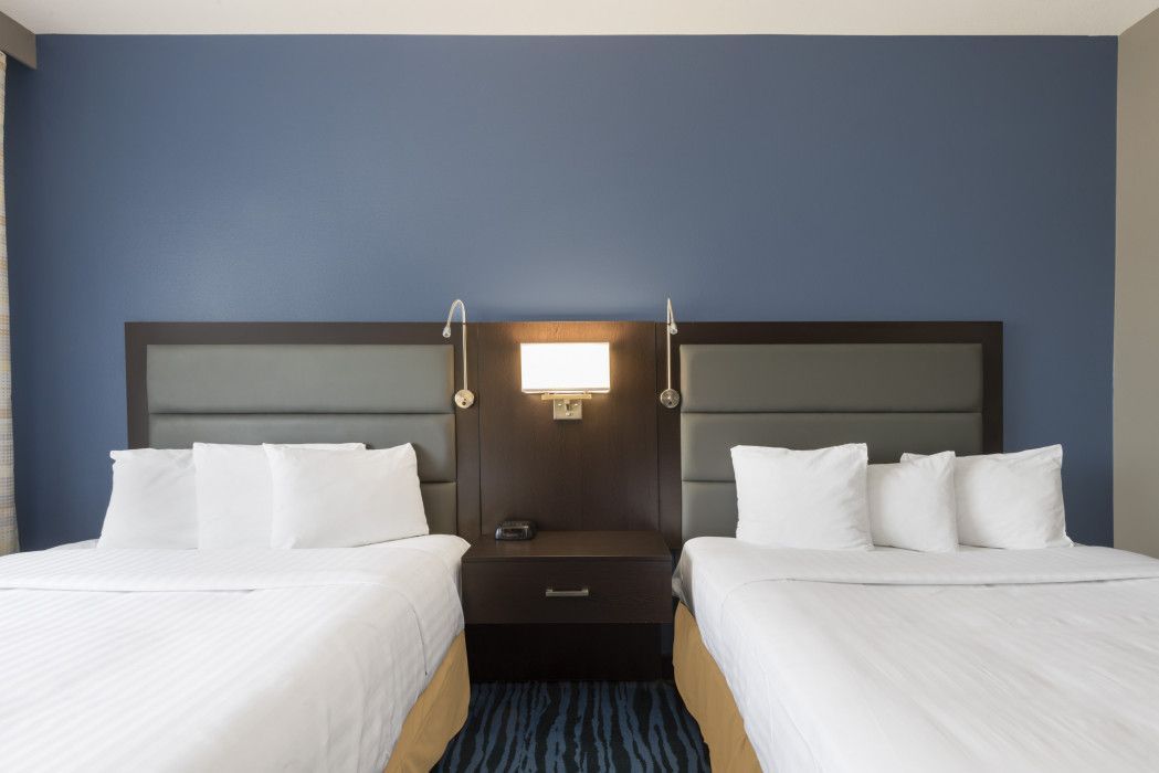 A hotel room with two beds, white linens, gray headboards, and a central nightstand against a blue wall.