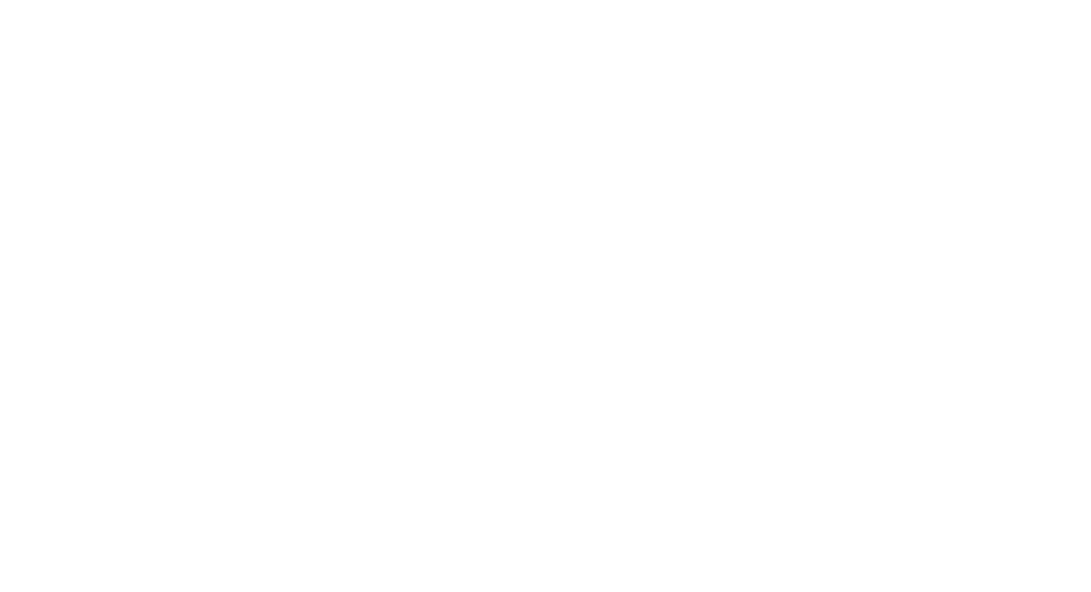 Company Logo - Footer