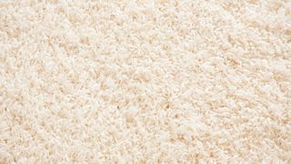 Clean Carpet — Fairfield, OH — Humongous Bill's Carpet Outlet Clean Carpet — Fairfield, OH — Humongous Bill's Carpet Outlet