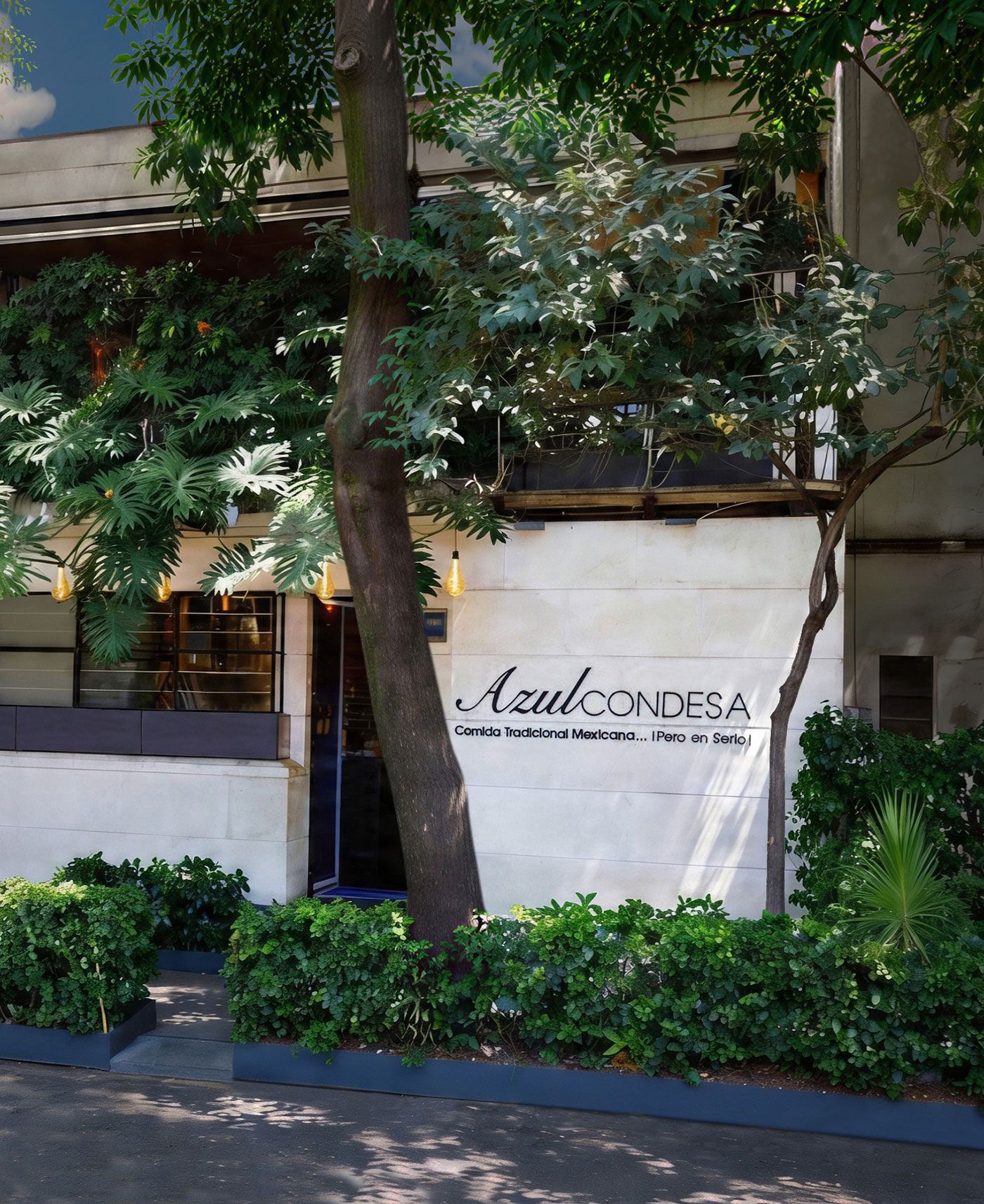fachada de Azul Condesa con árboles y vegetación al frente.