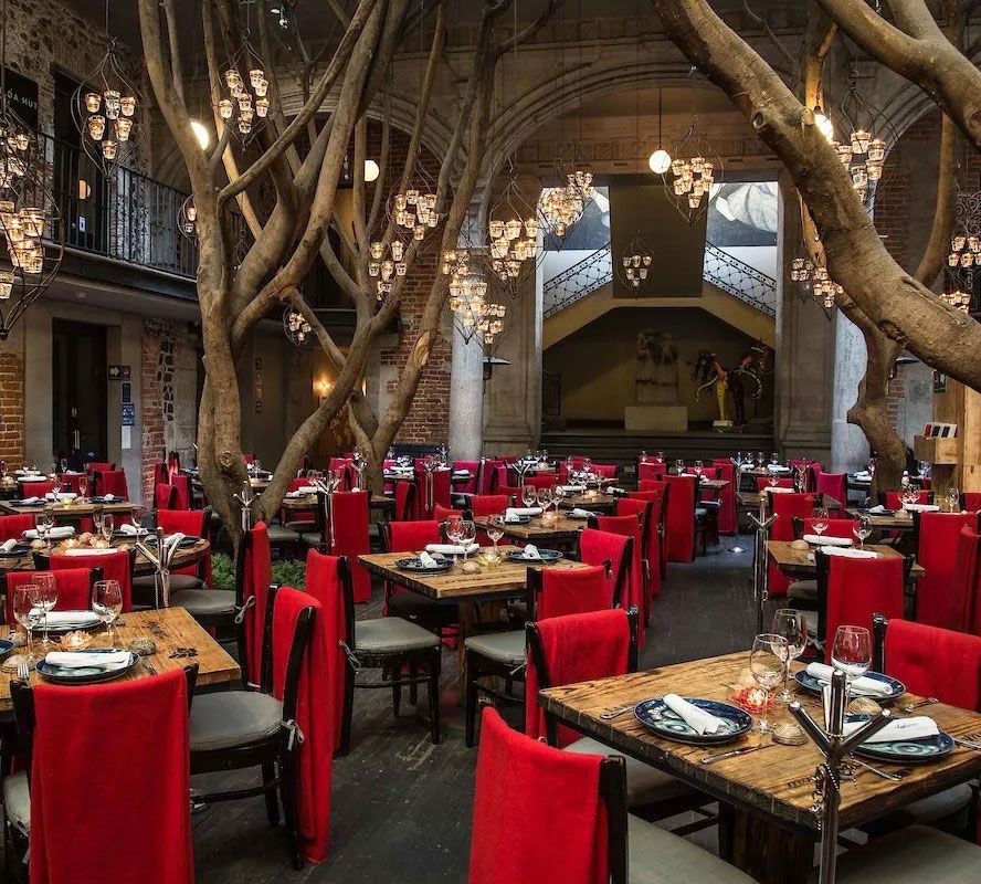 Mesas cubiertas con manteles rojos en un restaurante rústico de interior, con árboles que crecen a través del comedor.