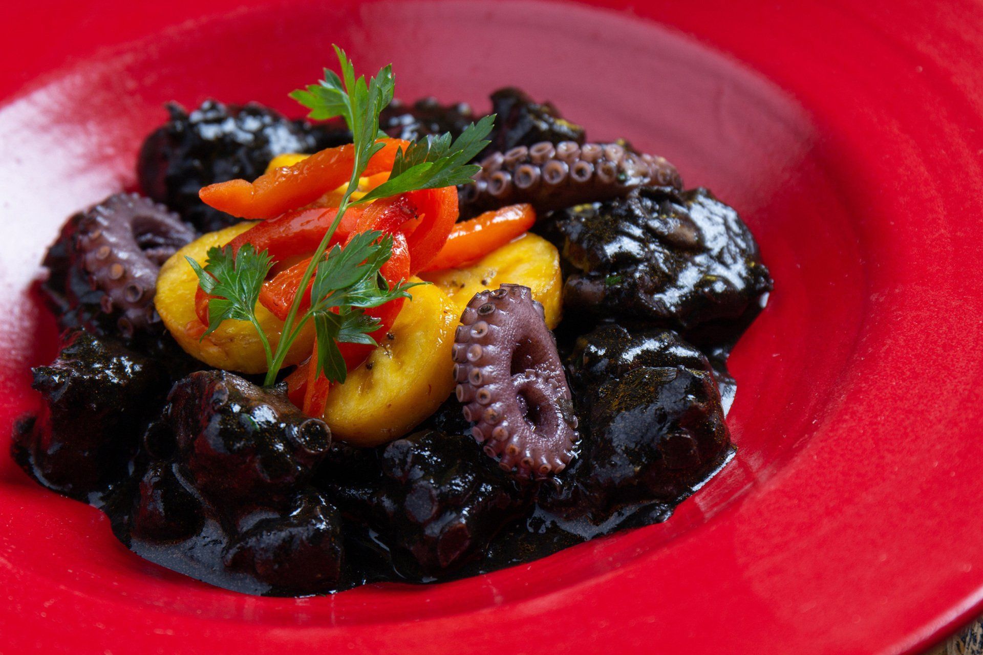 Pulpoen su tinta de Restaurantes Azul