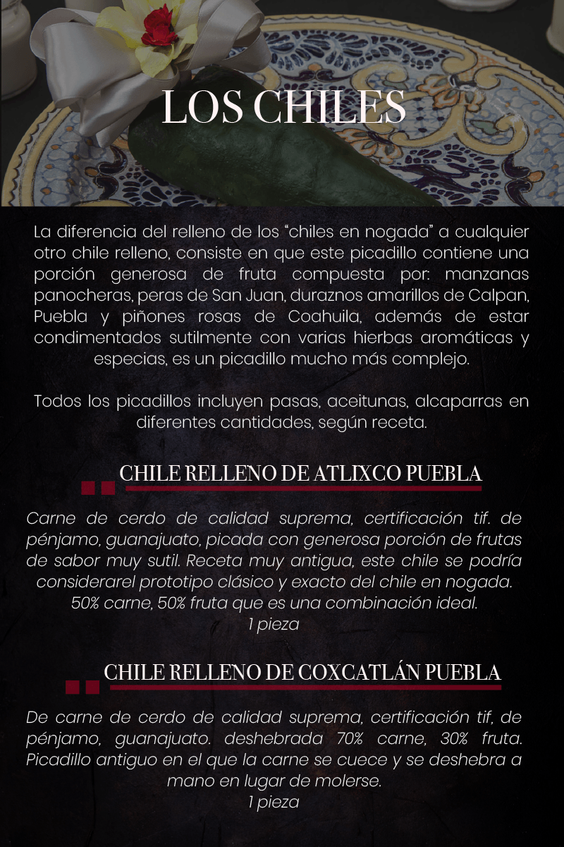 Folleto promocional de 