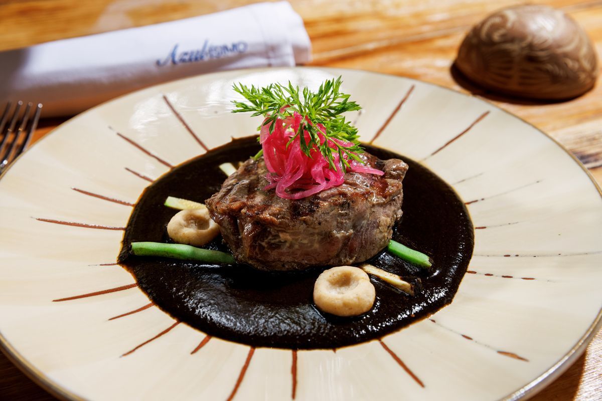 Filete emplatado con salsa oscura y guarnición en un plato blanco, servido en una mesa de madera.