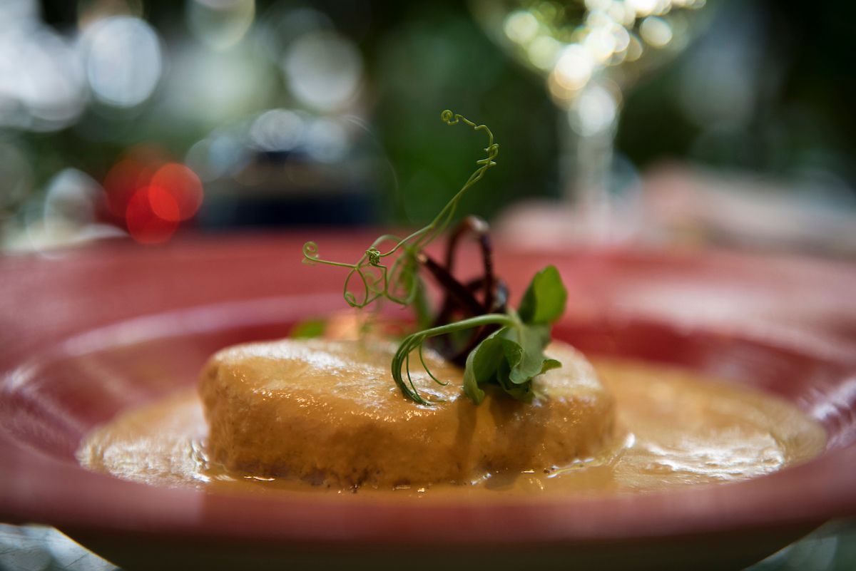 Primer plano de un aperitivo emplatado con salsa y guarnición de hierbas en un plato rosa.