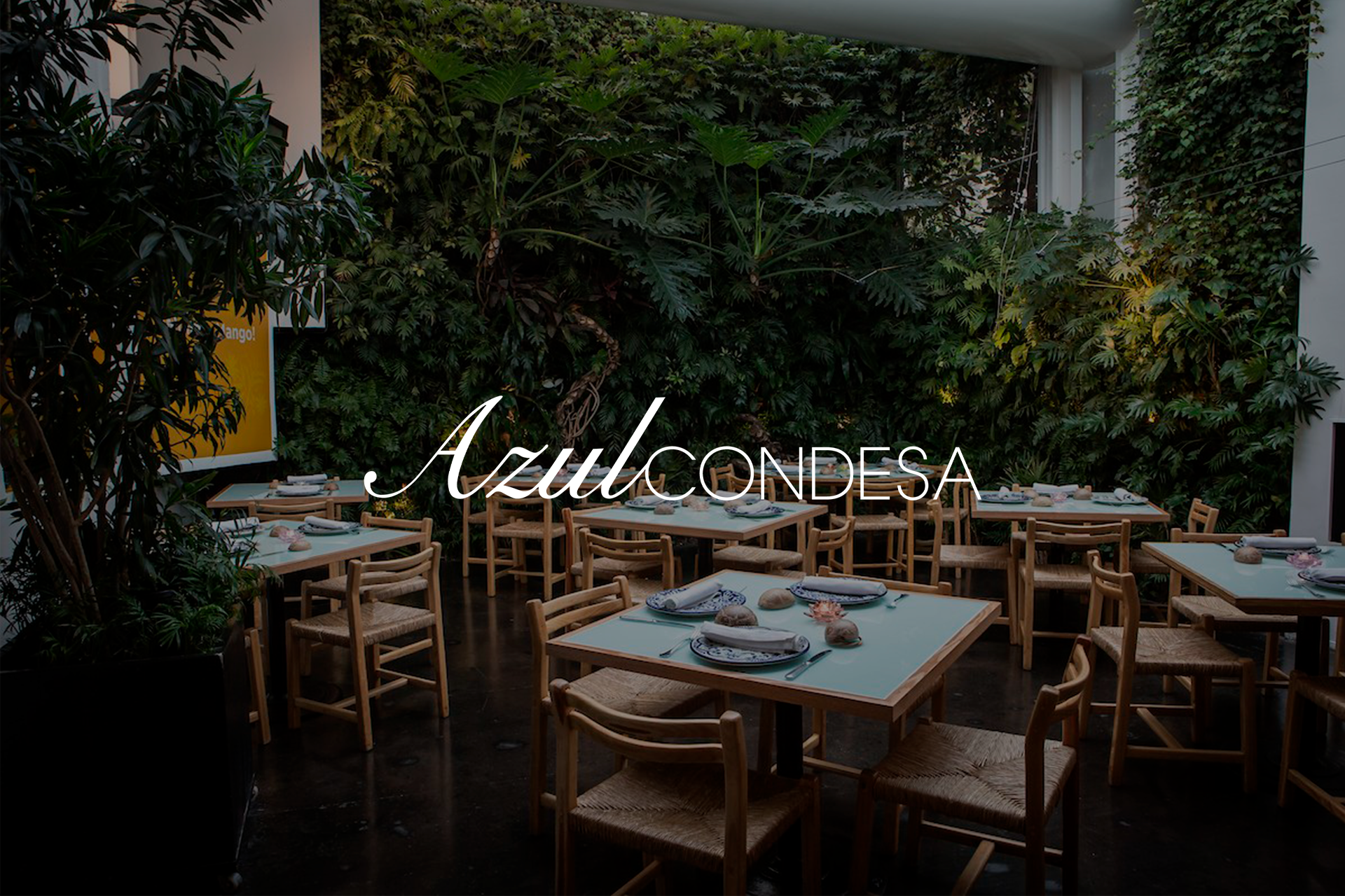 Terraza de restaurante Azul Condesa